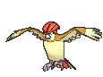[X]