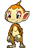 [X]