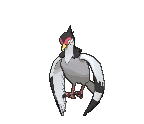 [X]
